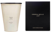 Cereria Mollá Premium Candle XXL Tuberose & Jasmine 4-Docht-Duftkerze (3.5kg)