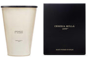 Cereria Mollá Premium Candle XXL Bergamotto di Calabria 4-Docht-Duftkerze (3.5kg)