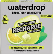waterdrop Microlyte Lemon-Mint Recharge (12 Stk)
