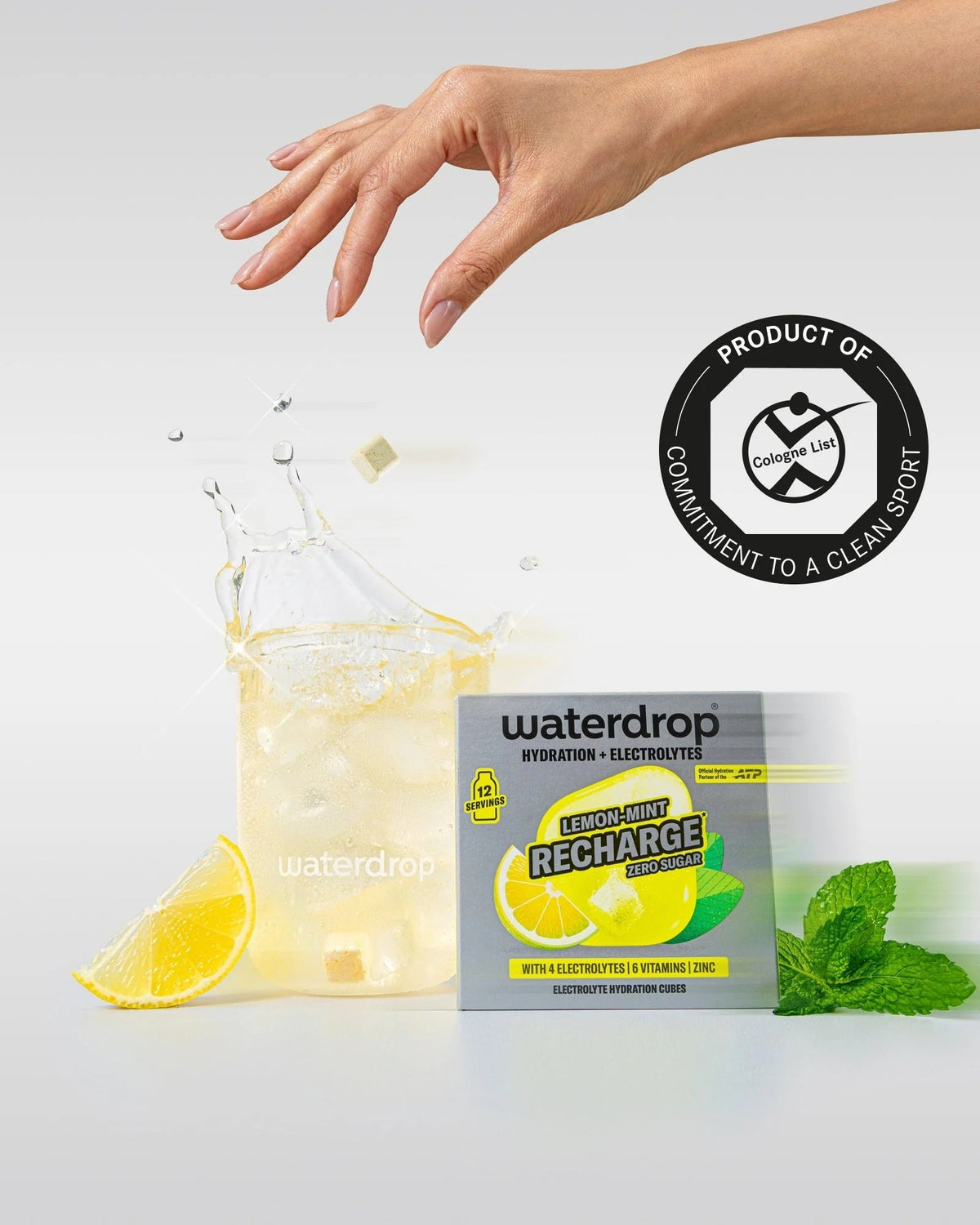 waterdrop Microlyte Lemon-Mint Recharge (12 Stk)