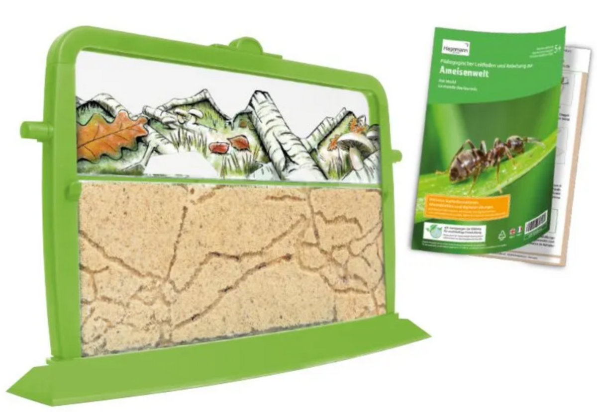 TimeTEX Ameisenwelt, 31x19x7cm (9-teilig)