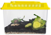 TimeTEX Beobachtungs-Set Schnecken, 23x18x15cm (5-teilig)