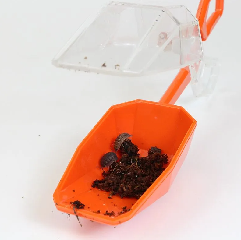TimeTEX Entdecker-Set Insekten & Co. (8-teilig)