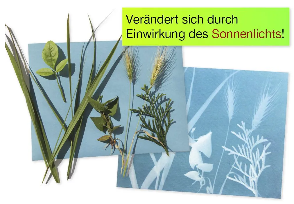 TimeTEX Foto-Solarpapierblätter mittel, 28x22cm (25 Stk)
