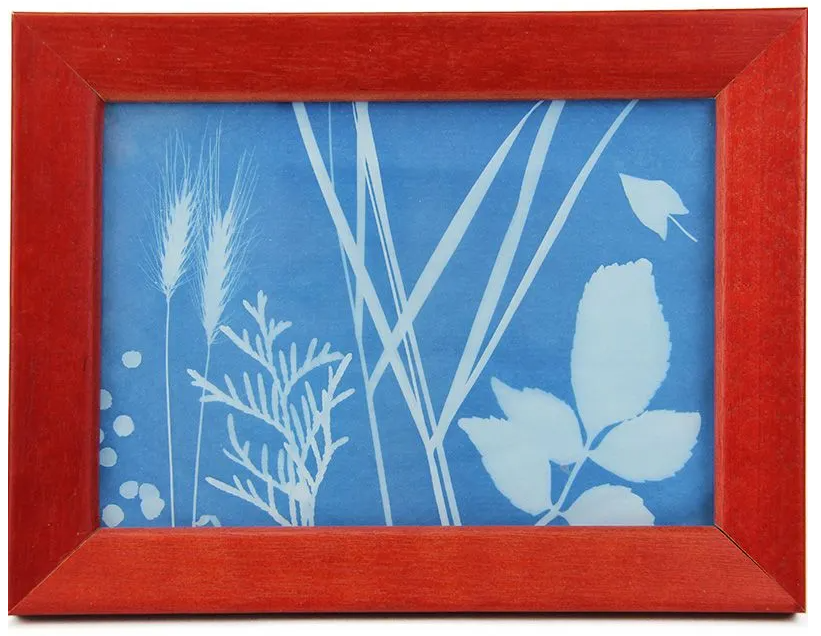 TimeTEX Foto-Solarpapierblätter mittel, 28x22cm (25 Stk)