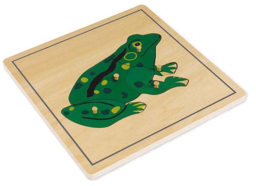 TimeTEX Puzzle Frosch Montessori Premium, 24x24cm (5-teilig)
