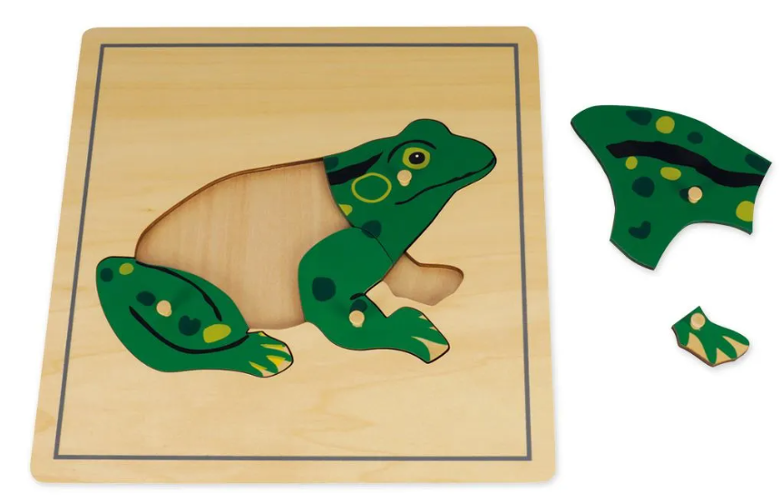 TimeTEX Puzzle Frosch Montessori Premium, 24x24cm (5-teilig)