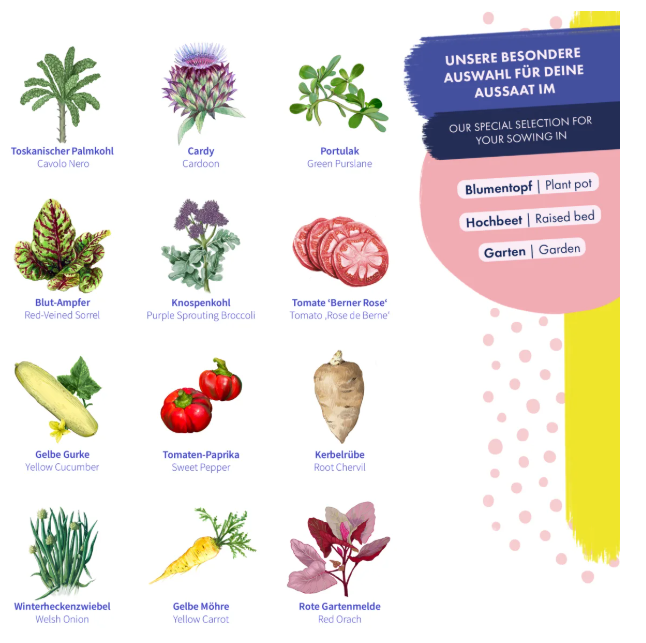 Magic Garden Seeds Saatgut Gemüsesamen, 12 alte samenfeste Gemüsesorten (1 Stk)