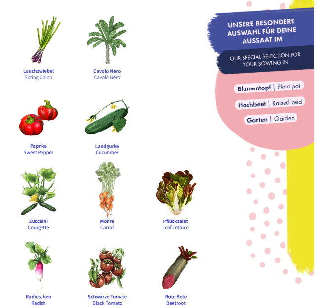 Magic Garden Seeds Saatgut Hochbeet-Gemüse, 10 samenfeste Gemüsesorten (1 Stk)