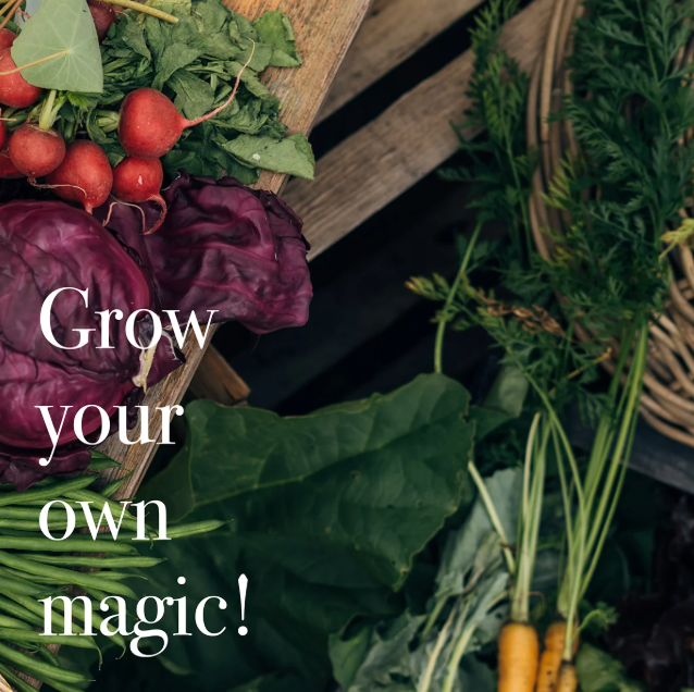 Magic Garden Seeds Saatgut Hochbeet-Gemüse, 10 samenfeste Gemüsesorten (1 Stk)