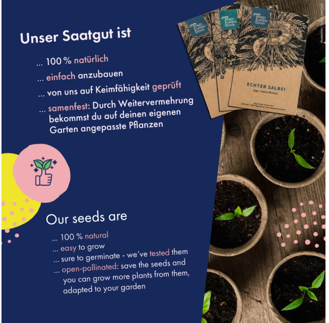 Magic Garden Seeds Saatgut Heilkräutersamen, 12 samenfeste Heilkräutersorten (1 Stk)