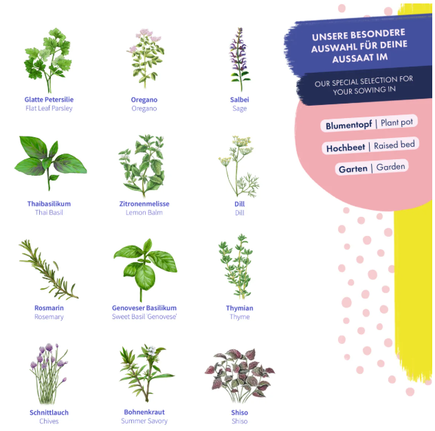 Magic Garden Seeds Saatgut Kräutersamen, 12 samenfeste Küchenkräutersorten (1 Stk)