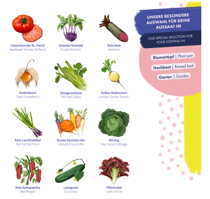 Magic Garden Seeds Saatgut Gemüsesamen, 12 samenfeste bunte Gemüsesorten (1 Stk)