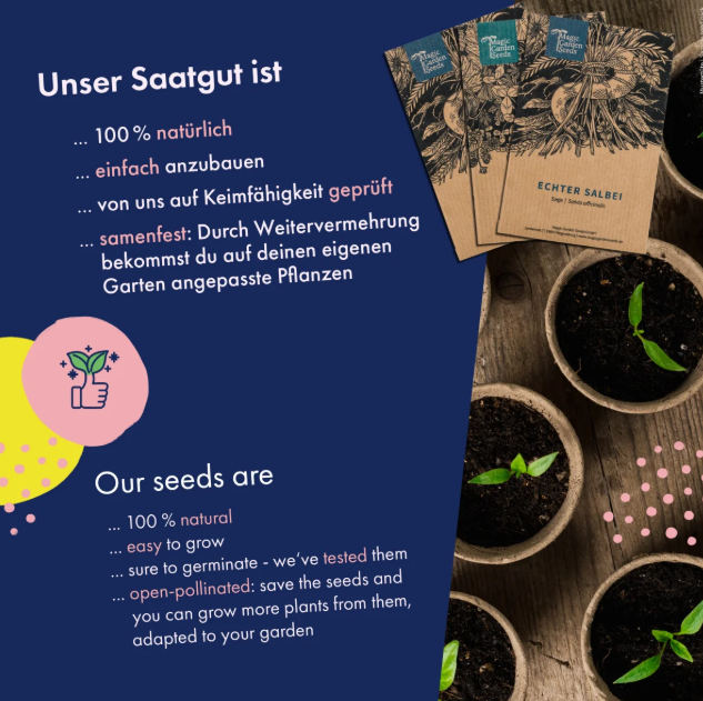 Magic Garden Seeds Saatgut Gemüsesamen, 12 samenfeste bunte Gemüsesorten (1 Stk)