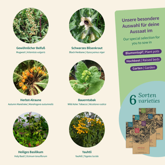 Magic Garden Seeds Saatgut Zauber-Pflanzen, 6 Ritual- & Räucherkräuter (1 Stk)
