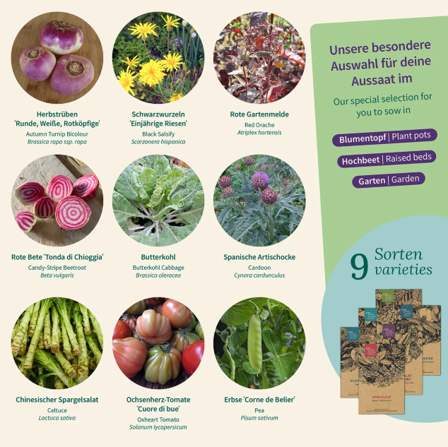 Magic Garden Seeds Saatgut Gemüse-Raritäten für Garten & Küche (1 Stk)