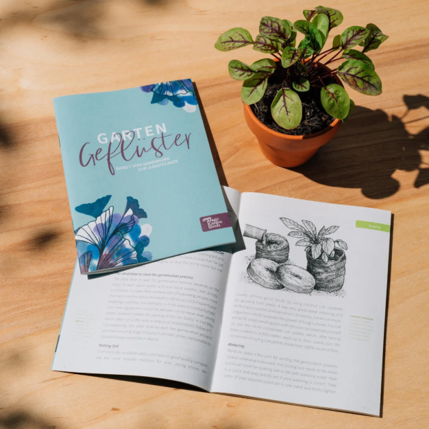 Magic Garden Seeds Samen-Geschenkset Beeren-Naschgarten (4-teilig)