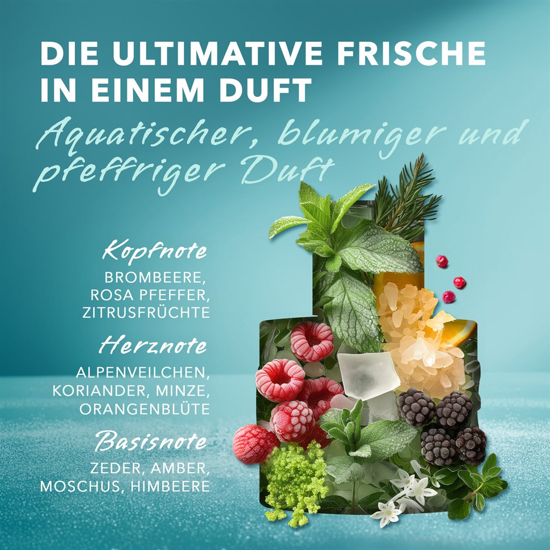 MEXX Ice Touch Body Splash für Damen (250ml)