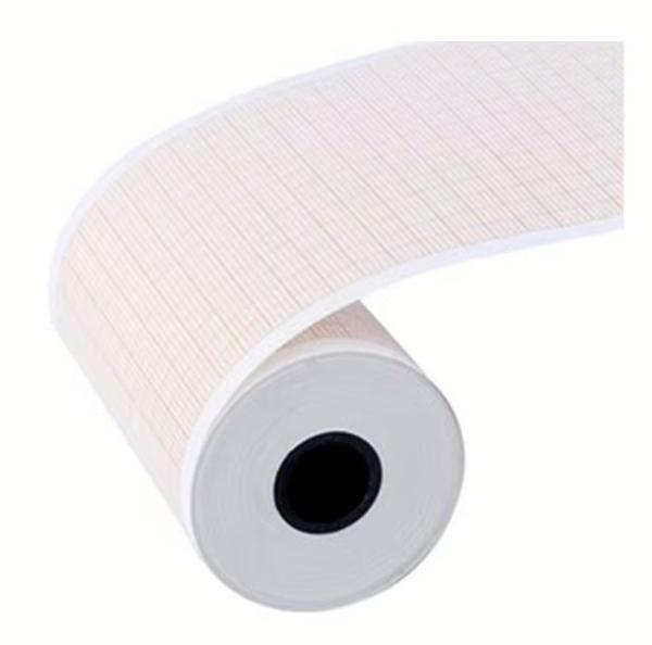 Mindray Carta per registrazione ECG R300 (1 rotolo)
