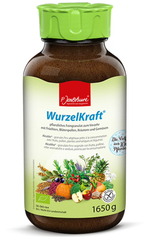 Jentschura WurzelKraft Feingranulat Bio (1650g)