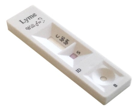 Willi Fox Lyme-Borreliose Schnelltest (5 Stk)