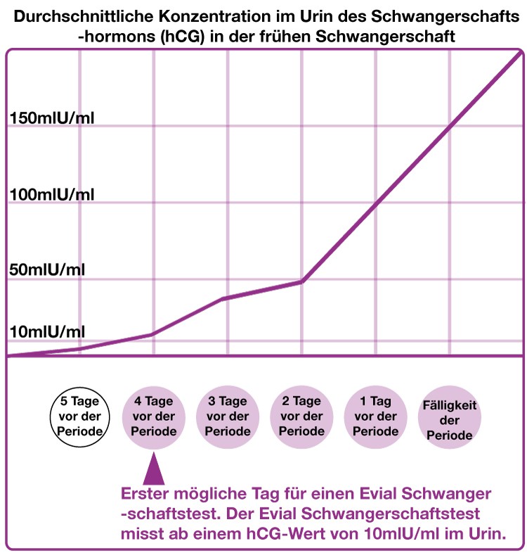 Evial Schwangerschaftstest (2 Stk)