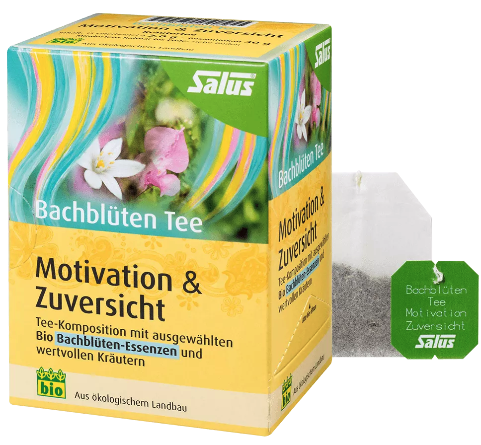 SALUS Bachblüten Tee "Motivation & Zuversicht" (15 Stk)
