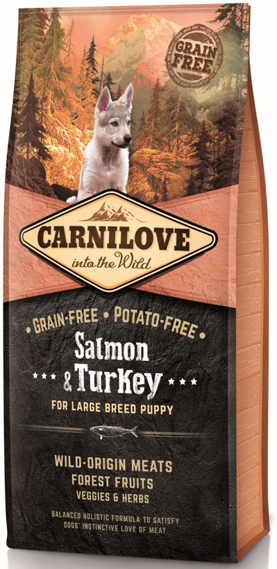 CARNILOVE Welpe Grosse Rassen Lachs & Truthahn (12kg)