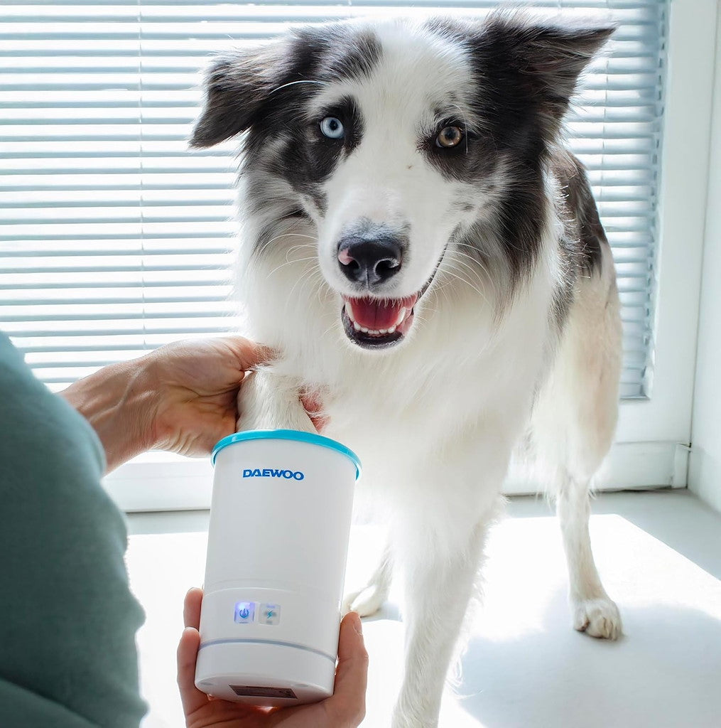Daewoo Automatic Paw Cleaner + Massager (1 pc)