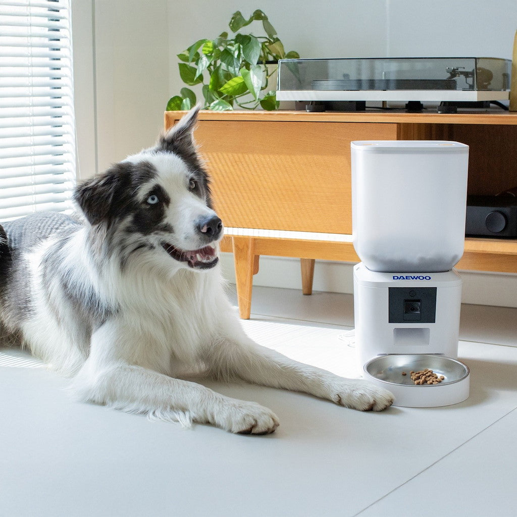 Distributeur automatique de nourriture intelligent Daewoo avec caméra 7 L (1 pièce)