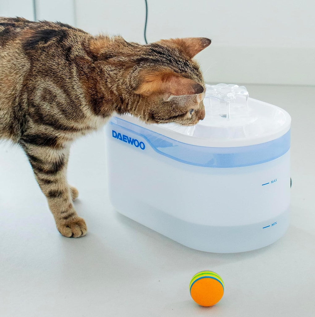Fontaine à eau intelligente Daewoo pour animaux de compagnie avec application TUYA (1 pièce)