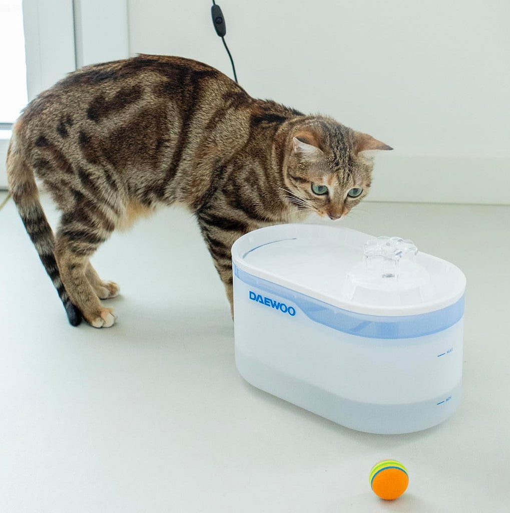 Fontaine à eau intelligente Daewoo pour animaux de compagnie avec application TUYA (1 pièce)