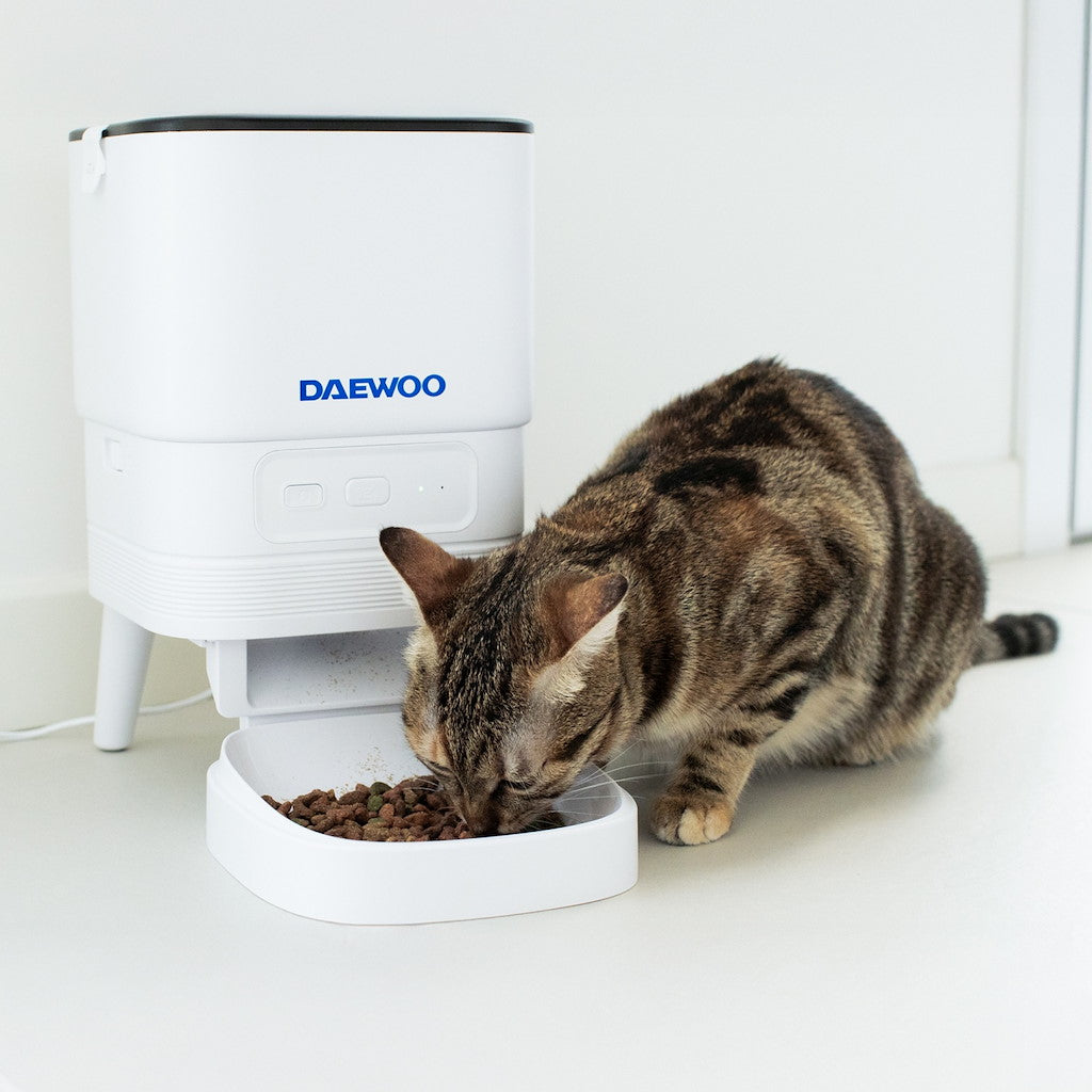 Daewoo Automatischer Futterspender mit TUYA App (1 Stk)