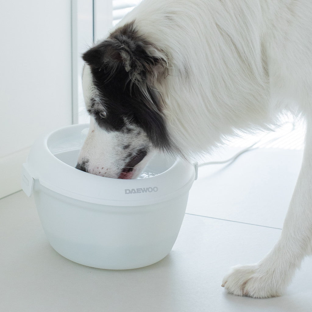 Daewoo Fontaine à eau automatique pour animaux domestiques (1 pièce)