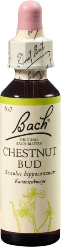 Bach-Blüten Original Chestnut Bud No 07 (20 ml)
