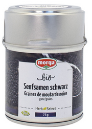 morga Senf schwarz ganz Bio (75g)