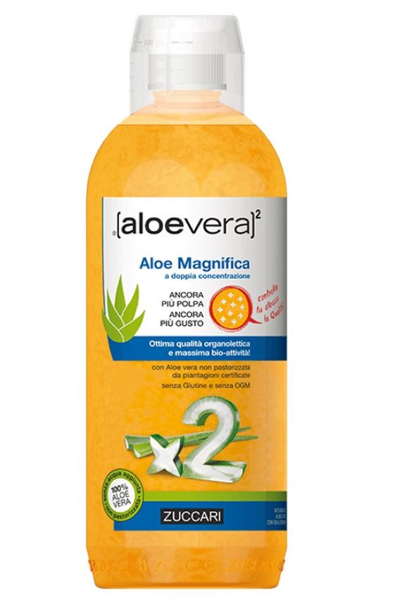 Zuccari Aloe Magnifica (1 Liter)