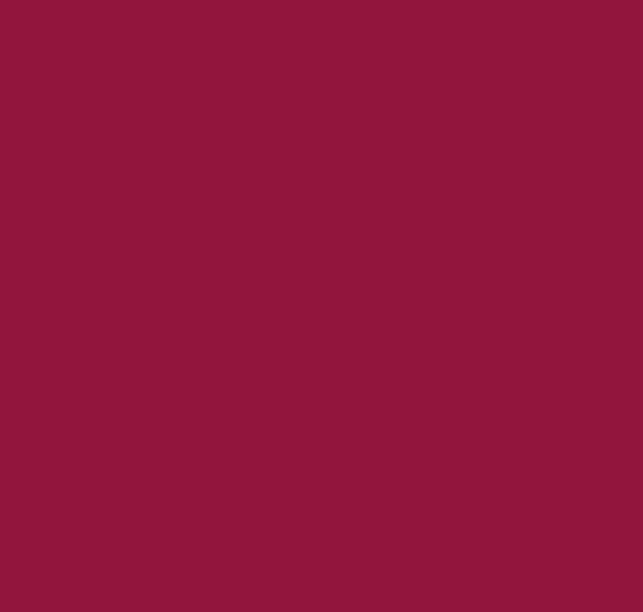 elsa Kissenbezug Velours Bordeaux 30x40cm (1 Stk)