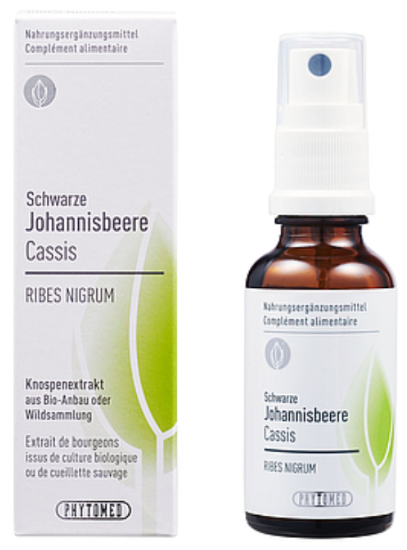 PHYTOMED Knospenextrakt Schwarze Johannisbeere Spray (30ml)