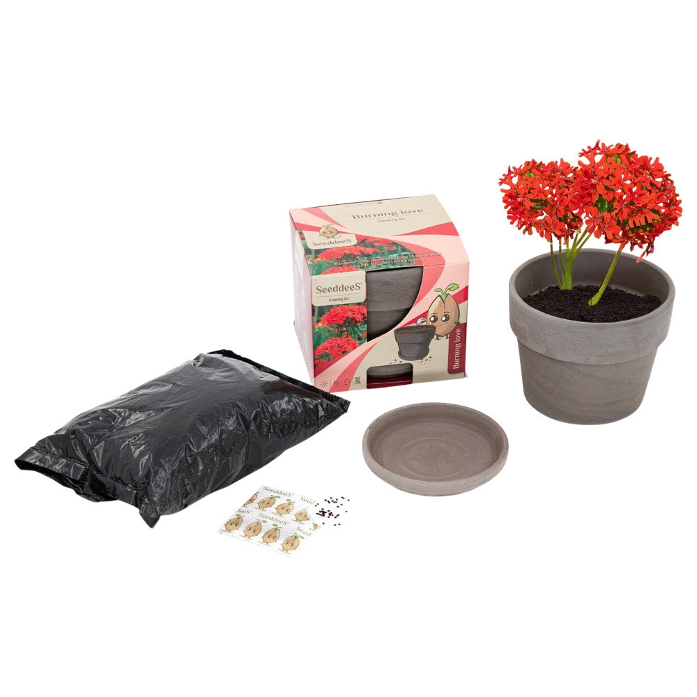 Wyss Garten Basalttopf-Set, Brennende Liebe (3-teilig)