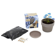 Wyss Garten Basalttopf-Set, Vergissmeinnicht (3-teilig)