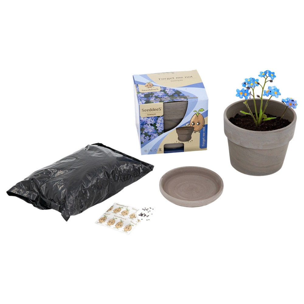 Wyss Garten Basalttopf-Set, Vergissmeinnicht (3-teilig)