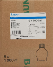 B. BRAUN Ringer Spüllösung 1000ml Ecotainer (6 Stk)