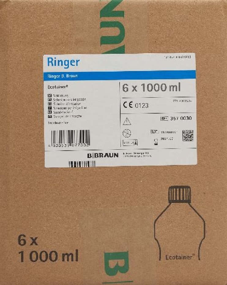 B. BRAUN Ringer Spüllösung 1000ml Ecotainer (6 Stk)