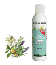 PRANARÖM Aromaforce Reinigendes Spray Bio (150ml)