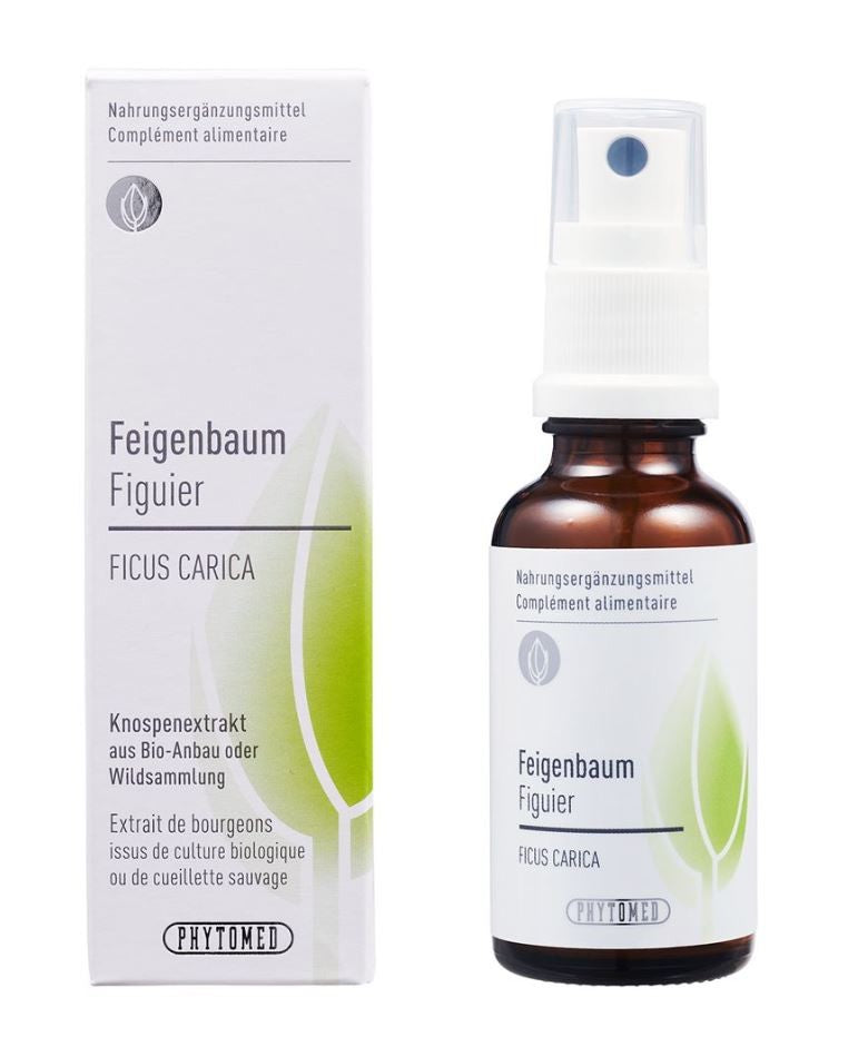Phytomed Knospenextrakt Feigenbaum Spray (30ml)