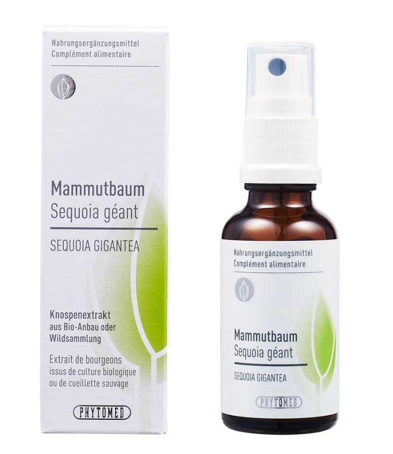 Phytomed Knospenextrakt Mammutbaum Spray (30ml)