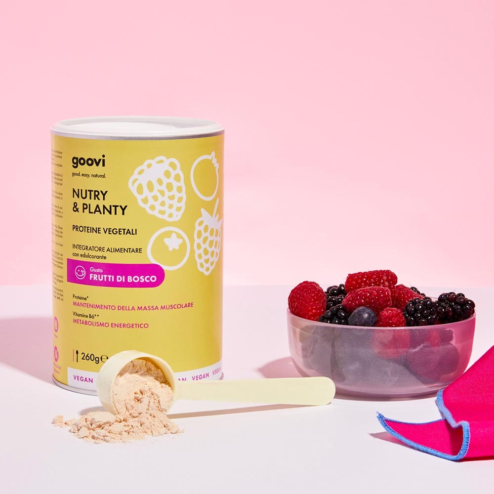 Goovi NUTRY & PLANTY Vegan Protein Berries (260g)