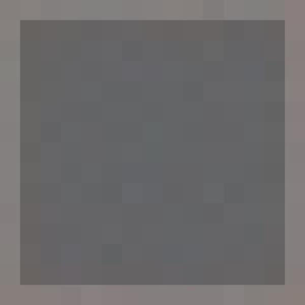elsa Taie velours anthracite 50x70cm (1 pce)