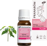 PRANARÖM PranaBB Mischung Reinigend Bio (10ml)